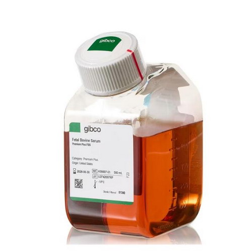 Gibco Fetal Bovine Serum, Premium Plus 500ml特优级胎牛血清A5669701