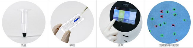 Logos LUNA-II全自动细胞计数仪，进口细胞计数仪