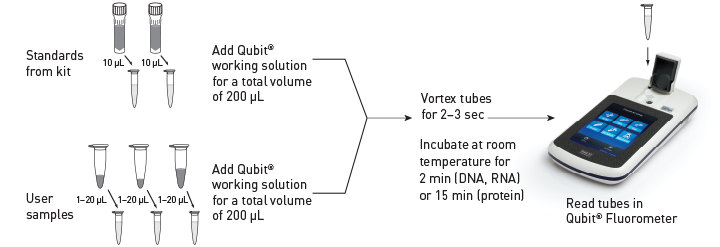 美国Life Invitrogen Qubit® 3.0荧光定量仪Q33216，Q33217，Q33218